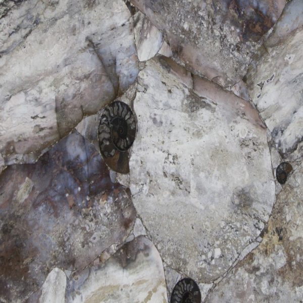 Агат Agate Opal Giant