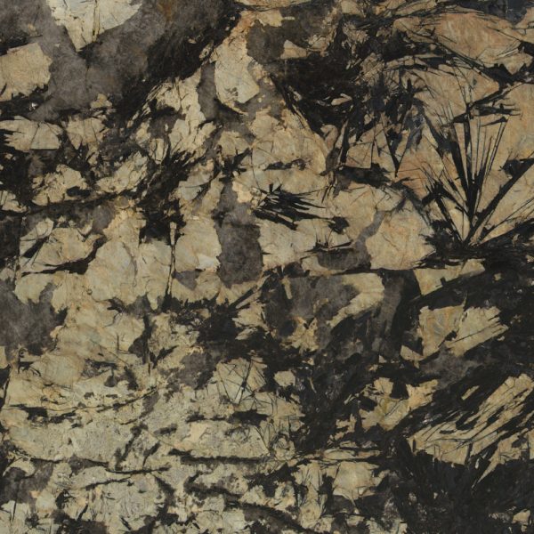 Кварцит Patagonia Black