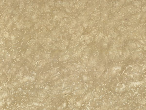 Мрамор Shells Reef Beige